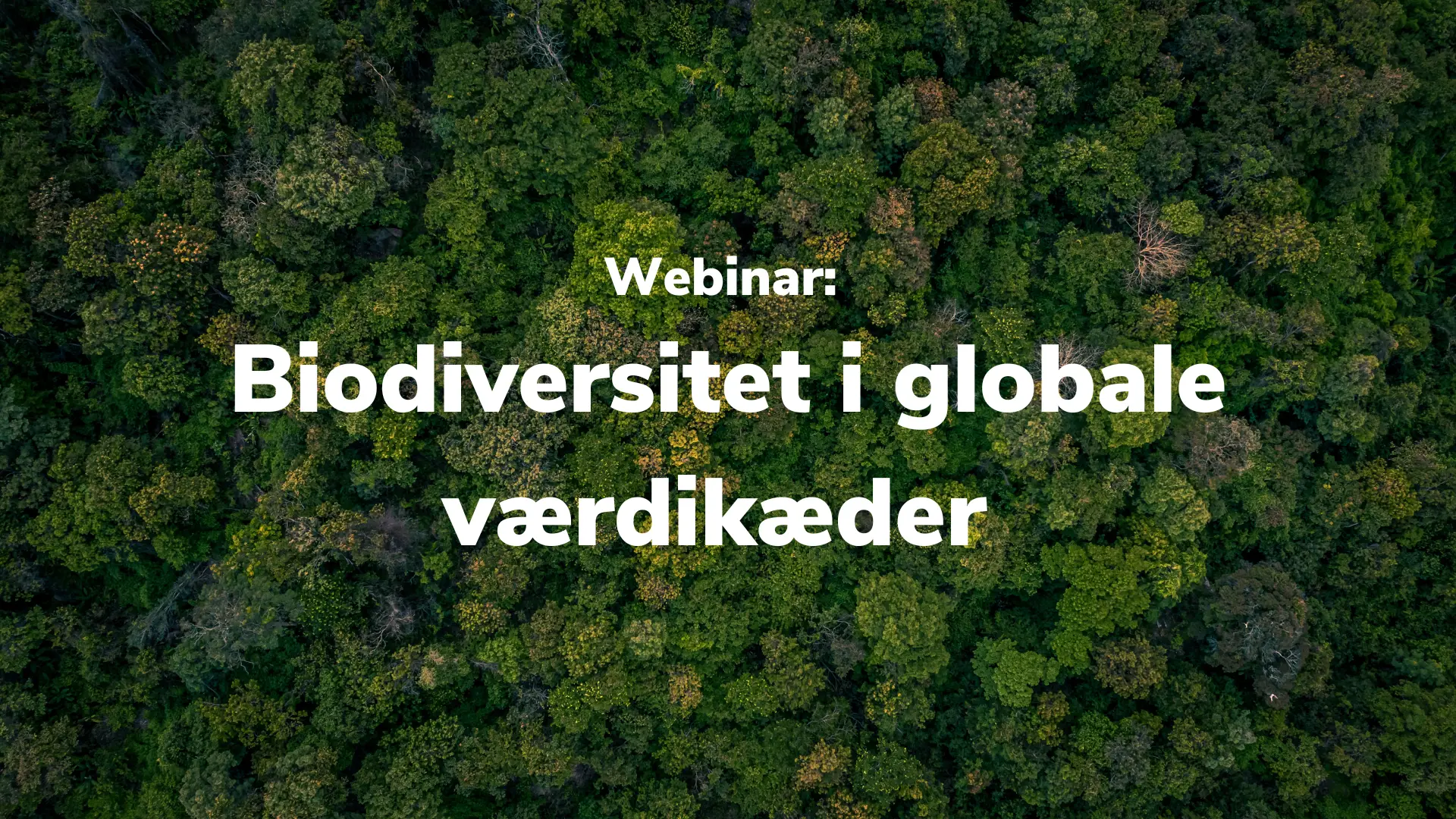 Webinar: Biodiversitet I Globale Værdikæder - Etiskhandel